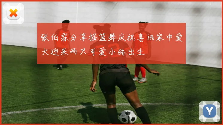 张伯霖分享摇篮舞庆祝喜讯家中爱犬迎来两只可爱小狗出生