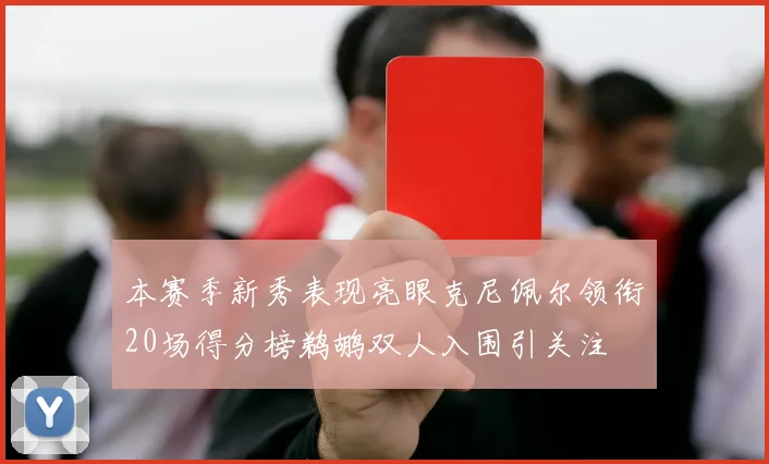 本赛季新秀表现亮眼克尼佩尔领衔20场得分榜鹈鹕双人入围引关注